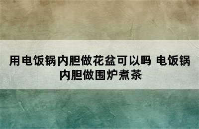 用电饭锅内胆做花盆可以吗 电饭锅内胆做围炉煮茶